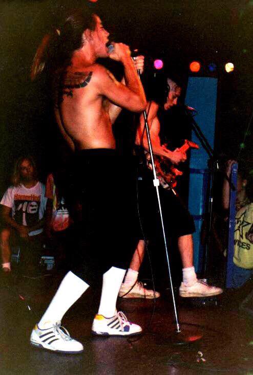 RHCP Live Archive tweet media