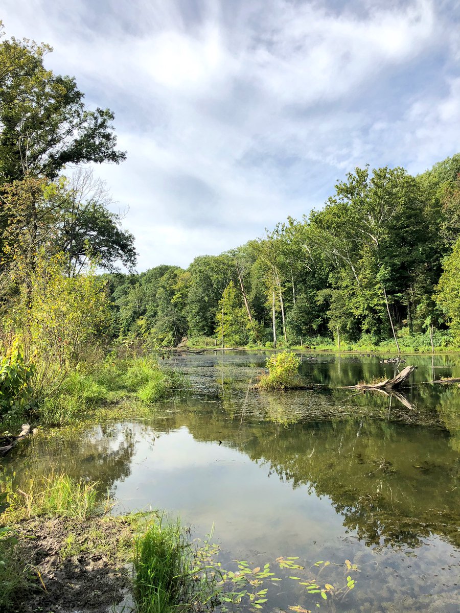 AjmaniK's tweet image. “The more intently you think of the well-being of others, the more oblivious of self you become...” ~ #Vivekananda #HowToWork #SpiritChat