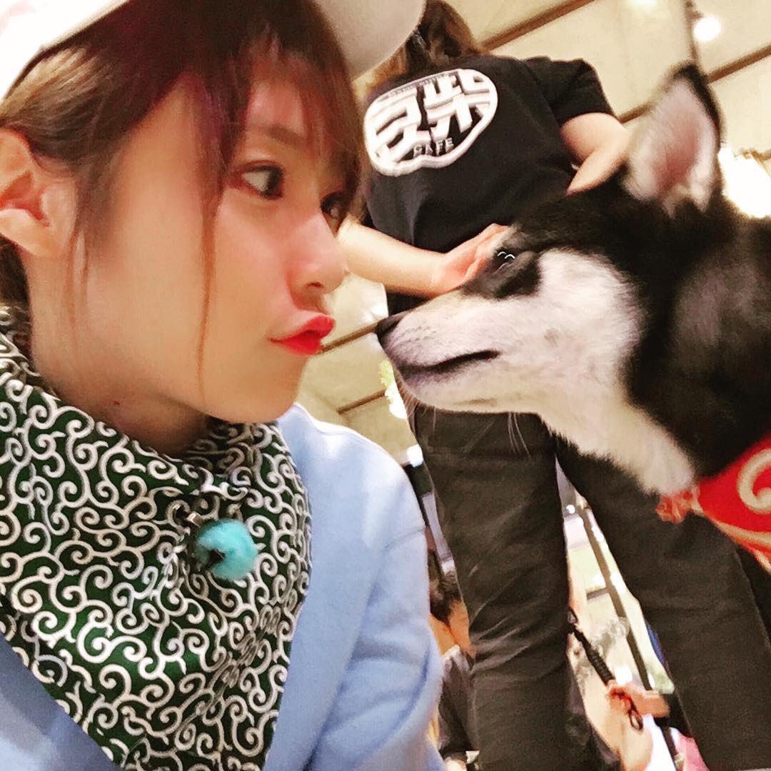 _kazumin_0208_'s tweet photo. 犬にマウント取られて悲しいです(訳:一実さんかわいすぎ) https://t.co/jjTZEpHK2N