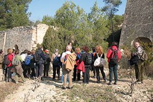 sitgesvida's tweet photo. #Escursiones guiadas, #Olèrdola, una montaña de historias #senderismo @canalajuntament @ajsitges @diba @catexperience @BCNmoltmes https://t.co/x4PDscfwc7 https://t.co/O0X98yBH0u