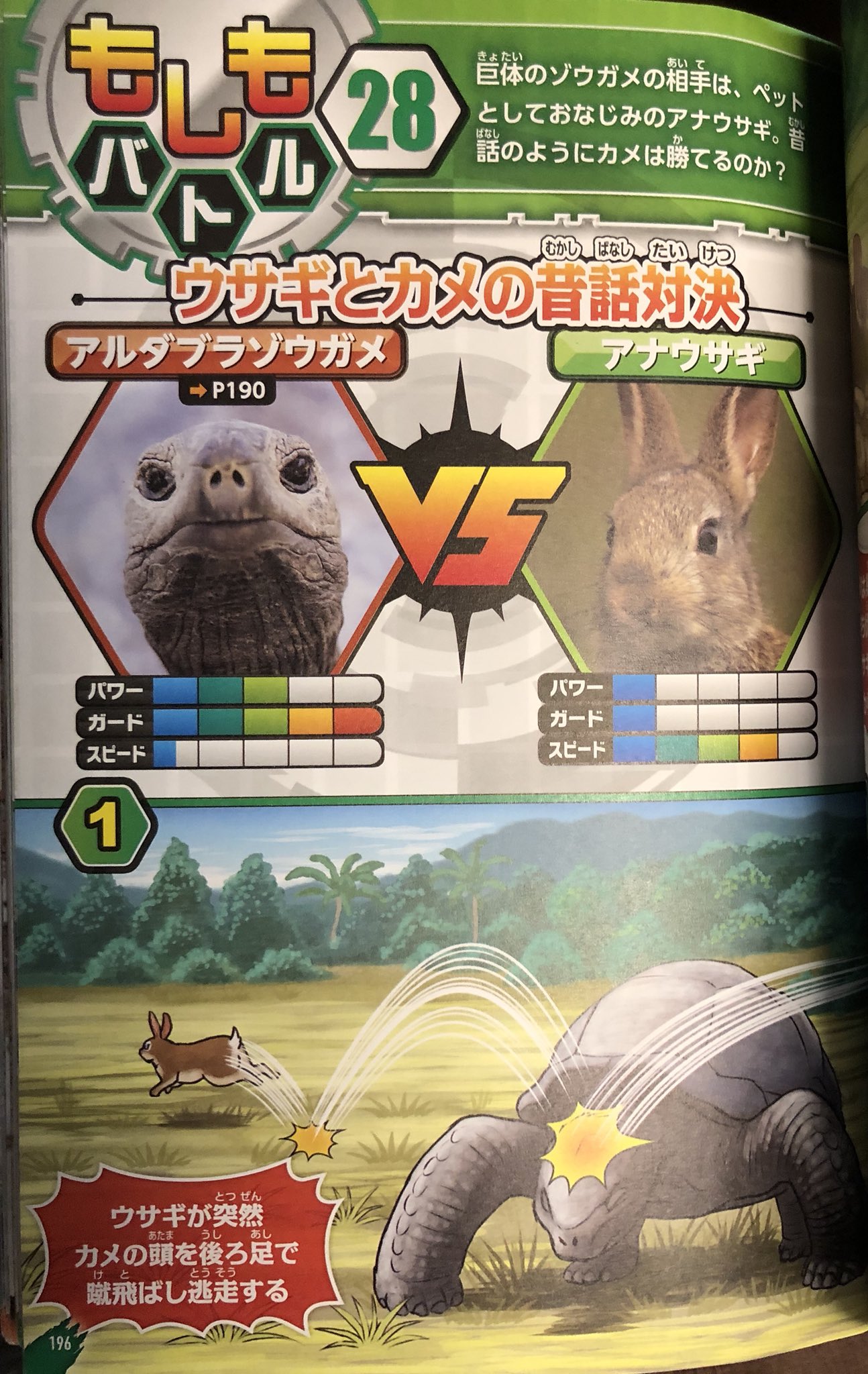 いなむ 在 Twitter 上 実家に帰ったら甥っ子が 面白い本貸したげる と取り出した 戦う動物大百科 最強獣王決定戦 アマナ編 動物に謎のパラメータが存在し もしもバトル という架空のバトルが繰り広げられる 勝利理由が酷かったり 突然グロかったりする