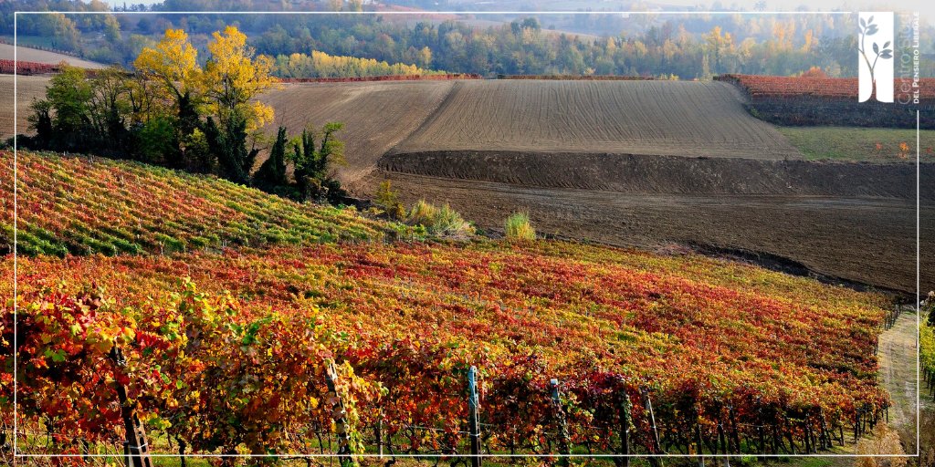 pensareliberale's tweet photo. Alba, siamo nel cuore delle Langhe, in una cittadina conosciuta sopratutto per il rinomato e prezioso tartufo bianco, la Barbera e il Dolcetto d'Alba. Ma vanta anche una storia antichissima e bellezze da non perdere. #siamolitalia #pensieroliberale #eccellenzeitaliane #inPiemonte https://t.co/6NJkj9Cadt