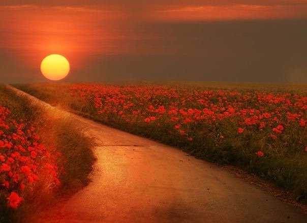 Have faith in your journey.
Everything had to happen exactly as it did to get you where you’re going next!

Mandy Hale
Pic Veronica Pinke