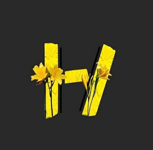 123Trench tweet picture