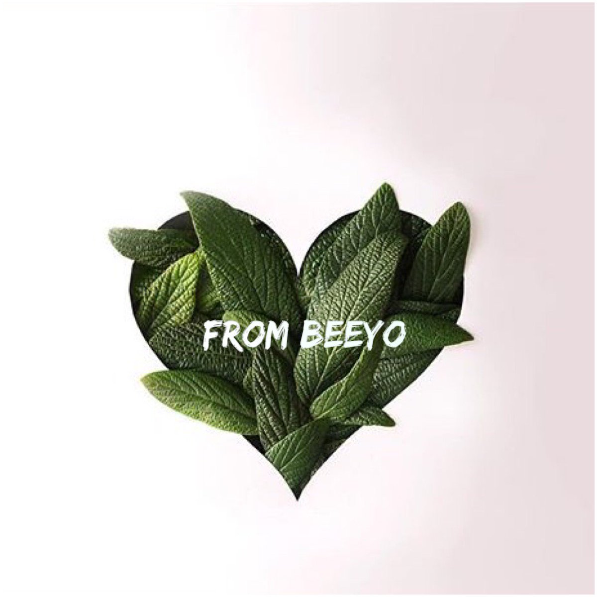 HajiraWarsame's tweet photo. Happy Friday Everyone!  My favorite day of the week. Keep us up on #Instagram at beeyo_skincare where you will find more info about our latest updates of #beeyo products.

#weekendupdate #Worldwide #Somalia #greenbeauty https://t.co/FY0cXDaR29