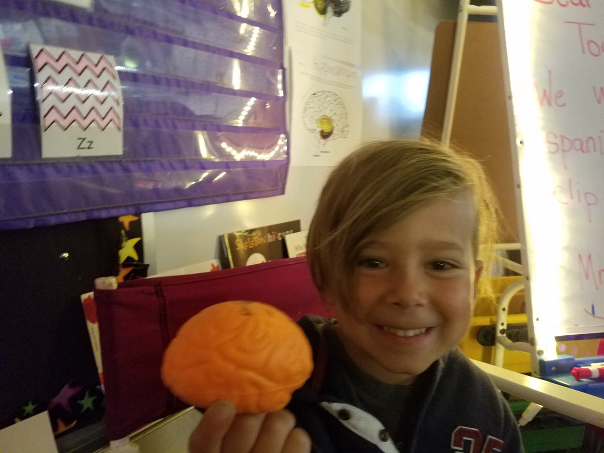DaveStefanich's tweet photo. When your kid brings in a “stress brain” you got @ the swag station at #tisc2018 for show and tell and is able to talk about his cerebral cortex you know our MindUp teaching is working! https://t.co/1JF5tZzTy4