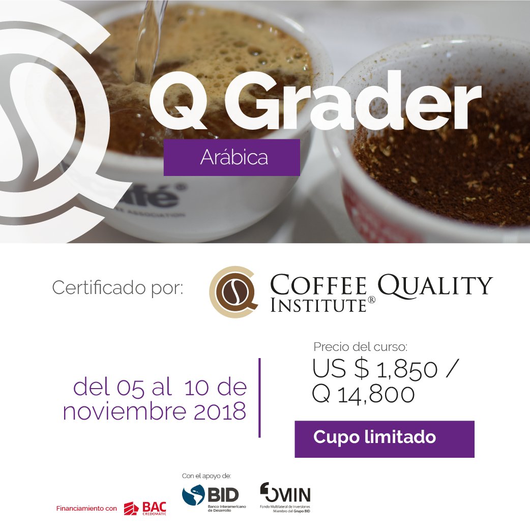 CafedeGuatemala's tweet image. #Capacitación | Compartimos la información sobre el curso Q Grader Arábica, dirigido a Catadores profesionales que busquen actualizar e incrementar sus conocimientos sobre control de calidad y estándares de análisis sensorial.

ℹ️Más información: bit.ly/QGraderArabica

#QGrader