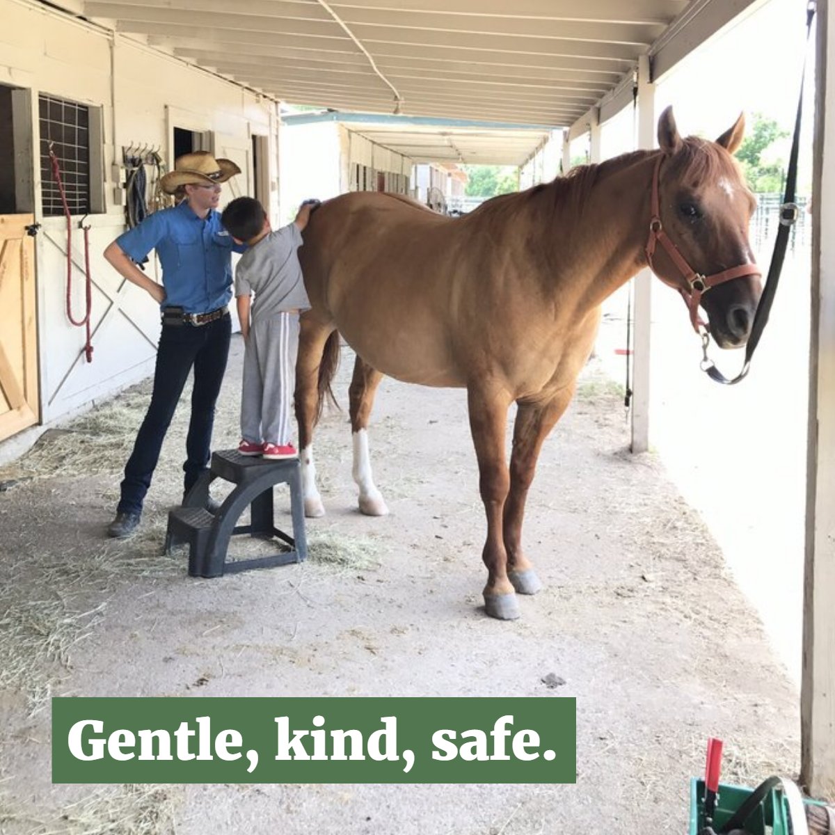 TxTrailRides's tweet photo. Take care of your horse, and it'll take care of you. https://t.co/c4bkk7VOkA