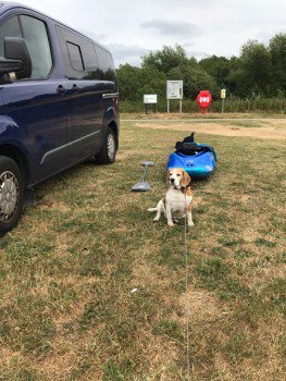 millypod1's tweet photo. 🆘SALLY #Lost #ScanMe
Tri Colour Beagle Female
#Whitburn Coastal Path South Tyneside #SR6
PLEASE SHARE 😢
#SR1 #SR5 #NE33 #NE34 #NE36
https://t.co/kooGcrO0Ii https://t.co/jfGdONBmIw