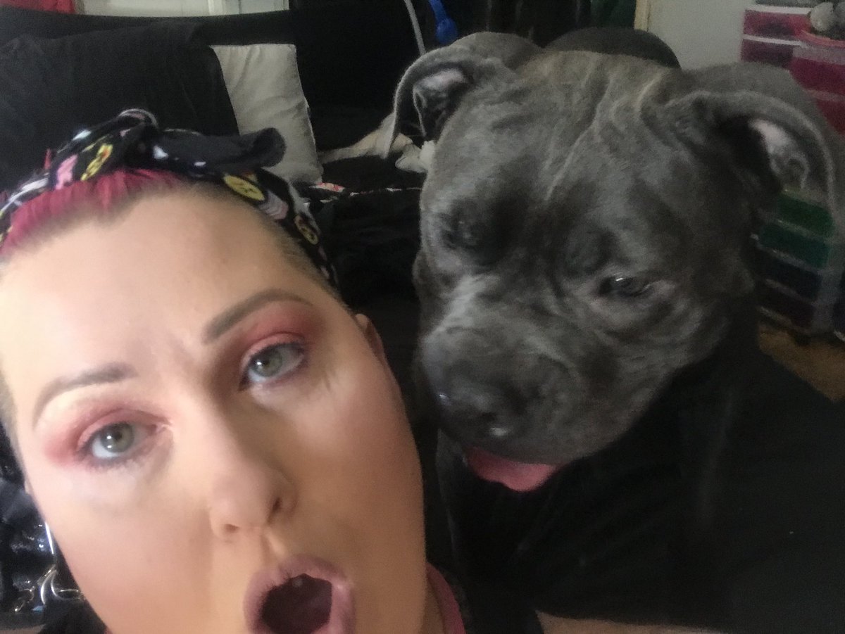ThePinkPitbull's tweet photo. Getting ready to head up to #Worldofkhaos to prep the #makeup room for tonight. My #chupacabra #masterdickgreyson wants to play so bad. #CaneCorsoPuppy #makeupartist #FXArtist #BullyRescue #pitbullmix #pitbulllover #pitbullmom #dontbullymybreed https://t.co/bspF4kG9Oz