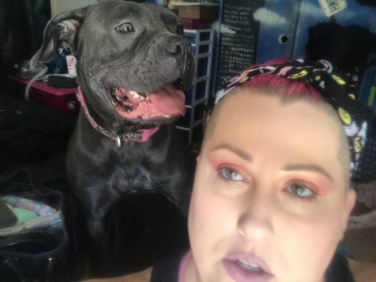 ThePinkPitbull's tweet photo. Getting ready to head up to #Worldofkhaos to prep the #makeup room for tonight. My #chupacabra #masterdickgreyson wants to play so bad. #CaneCorsoPuppy #makeupartist #FXArtist #BullyRescue #pitbullmix #pitbulllover #pitbullmom #dontbullymybreed https://t.co/bspF4kG9Oz