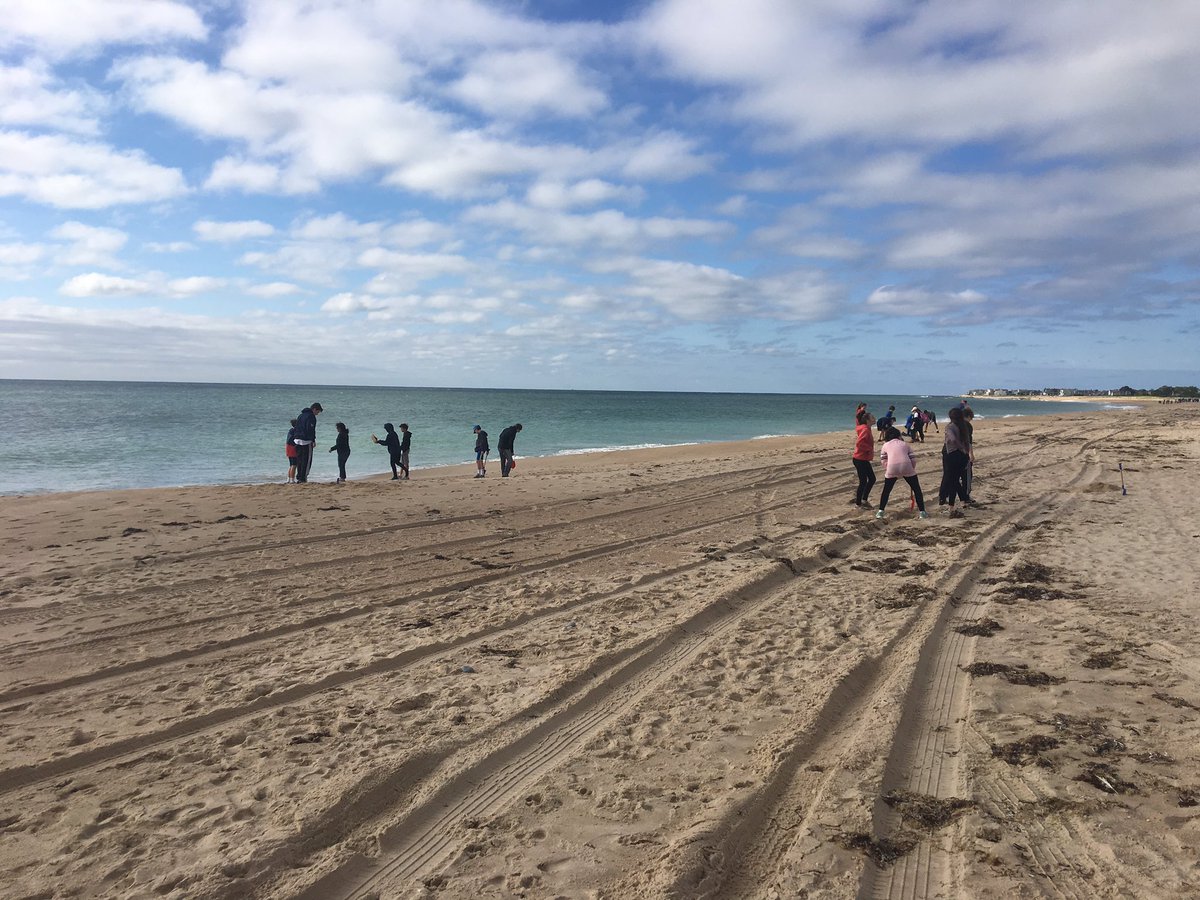 Julie Previte tweet media