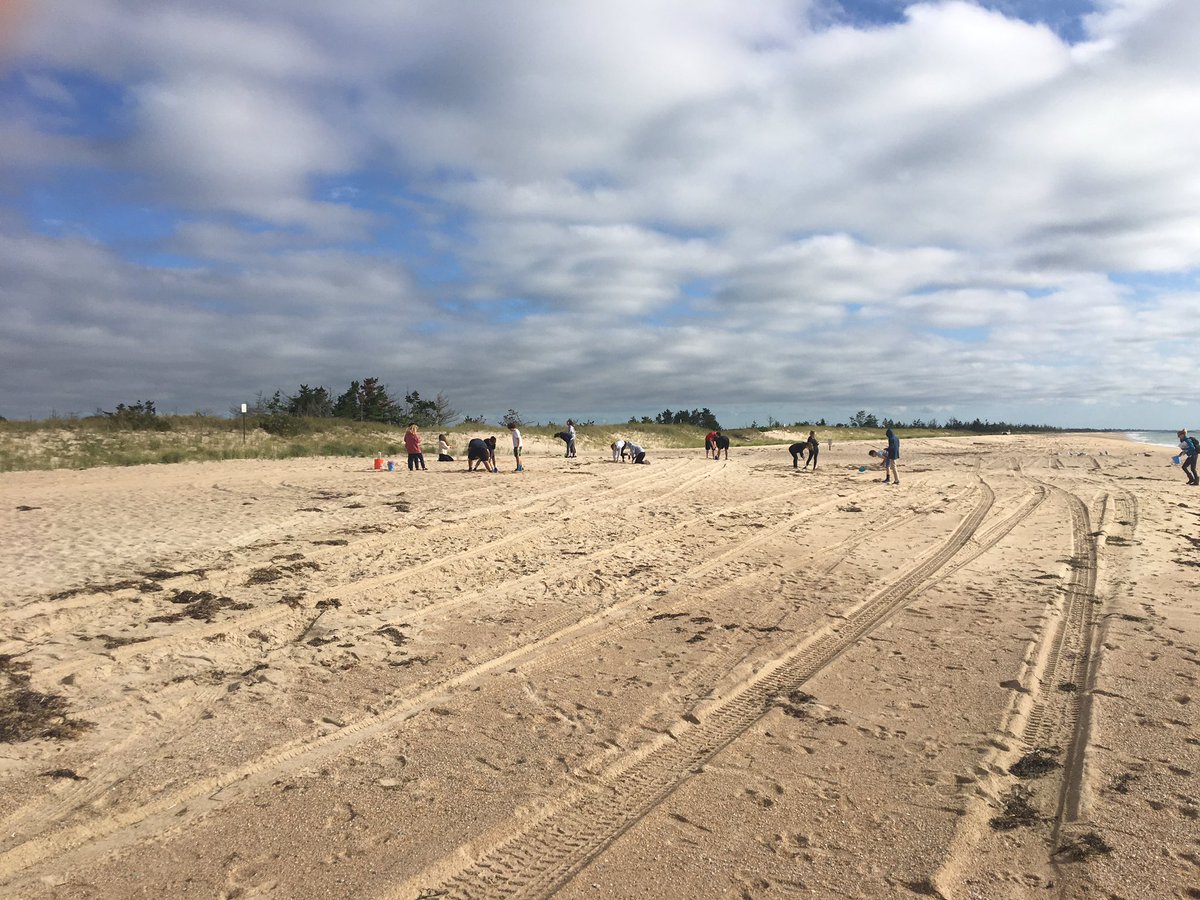 Julie Previte tweet media