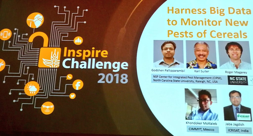 jamesplegg's tweet photo. Pitch 7. Developing a decision support system for rapid response to invasive pests of wheat, maize &amp; sorghum, from #CIMMYT &amp; #ICRISAT team. Partnering with CIPM &amp; using different data sources including social media #BDPNAIROBI2018 @ICRISAT @CIMMYT @johnagboolao1 @OlumideIDOWU https://t.co/Gxr9Gop3xb
