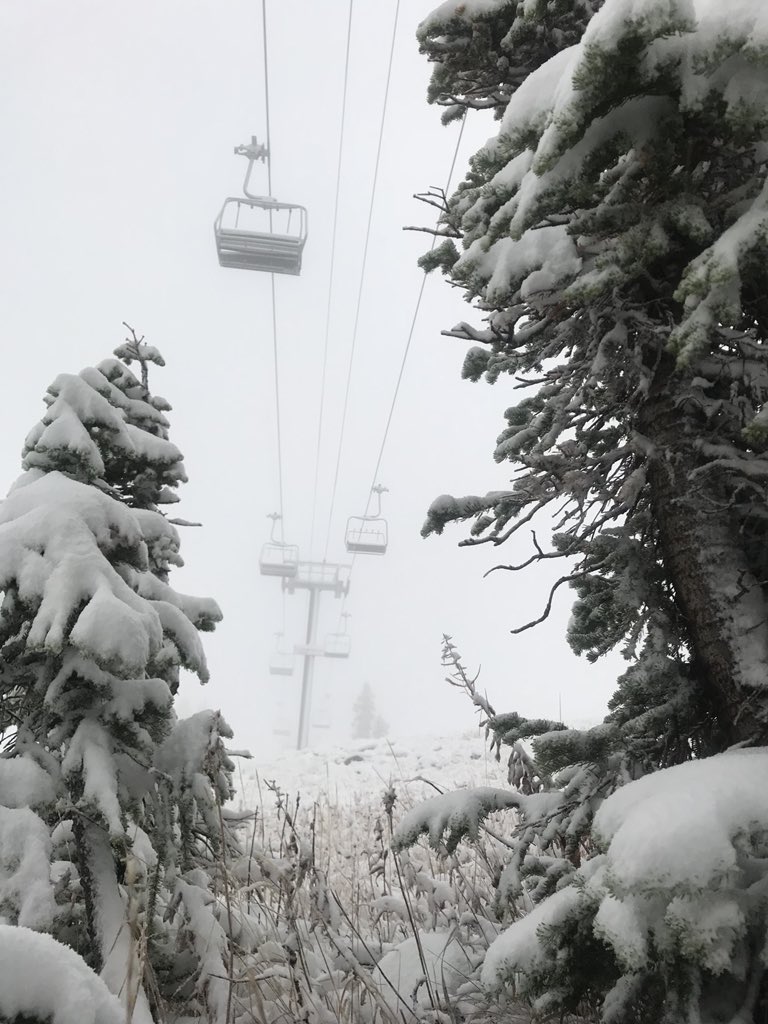 Winter is no longer a dream ✨ Current status looking up at Sunnyside lift ...