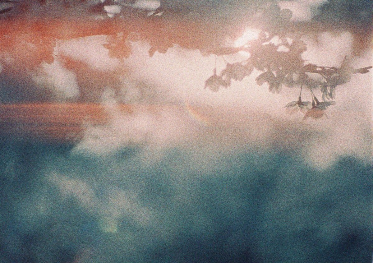 error__slow__'s tweet photo. 日本の四季
#フィルム #フィルム写真
#film #filmphotography https://t.co/Fe0h69JQsy