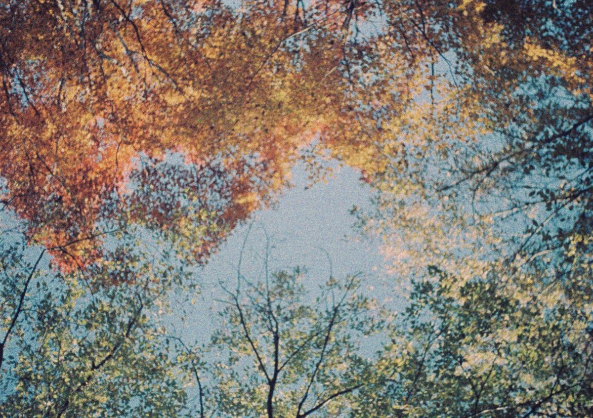 error__slow__'s tweet photo. 日本の四季
#フィルム #フィルム写真
#film #filmphotography https://t.co/Fe0h69JQsy