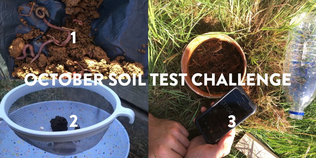 soilmentor's tweet image. Are you up for the #OctoberSoilTestChallenge? Do 3 easy soil tests on your fields this month using the #SectormentorForSoils app and get free advice from our resident #SoilHealth Expert, Jenni @Dungait 🌱 ---&amp;gt; soils.sectormentor.com/case-study/oct…