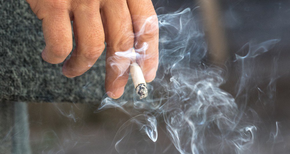 Yann Verdo tweet media