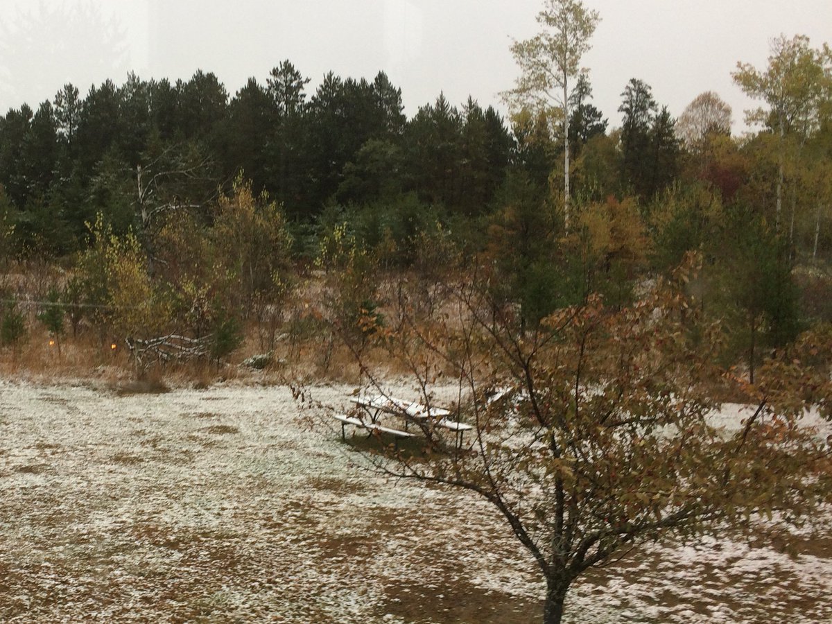 My back yard this morning. Pretty but that white stuff is here a bit early as far as I'm concerned.