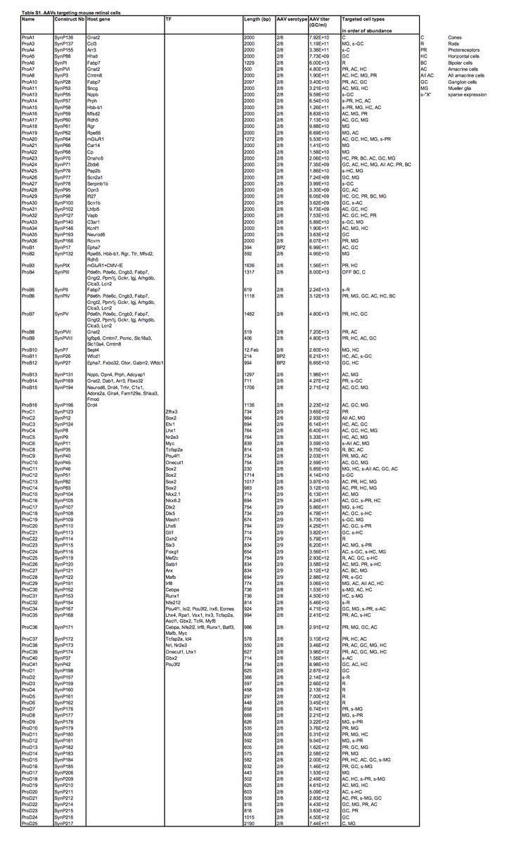 MargolisLab's tweet photo. 'a library of 230 AAVs. ~11% target expression to neuronal + glial cell types in mouse retina, mouse brain, non-human primate retina in vivo, and in human retina in vitro... recording, stimulation, characterization, intersectional labeling of cell types' https://t.co/azYOCp8UNV https://t.co/FQFOPFKPVu
