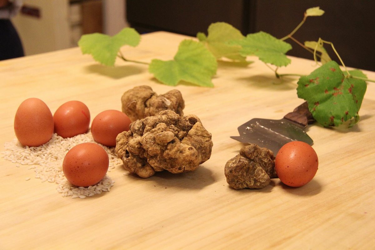 AlParadiso_'s tweet photo. 🍁🍂 E' arrivato il #Tartufo, il Re indiscusso della tavola d'Autunno! Sublime con i Tagliolini di pasta all'uovo, sorprendente nel Risotto, eccezionale sulle Uova: vi aspettiamo #AlParadiso per gustarlo come più vi piace! https://t.co/zXCQXqVNse