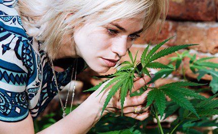 BPGtweet's tweet photo. 5 Reasons Why You Should Consider Growing Your Own Cannabis 🌱

https://t.co/H7oRFL4BKS

#BPG #BPGFamily #Cannabis #Growing101 #Berkeley #MedicalMarijuana #Leafly https://t.co/023SRgzjlJ