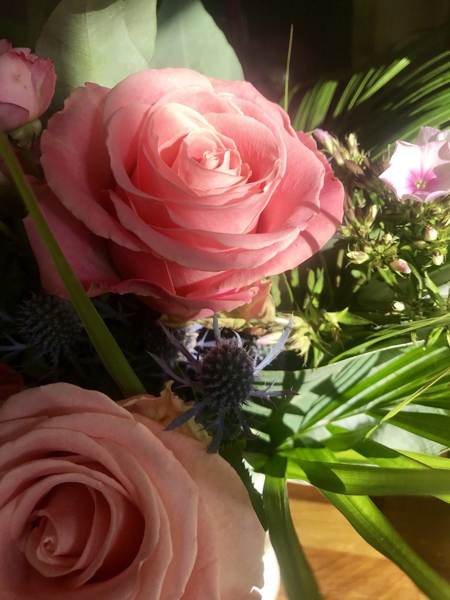 GabGeraldine's tweet photo. Gorgeous flowers presented at #TIPC2018Conf for comms part of Conference Team TIPC. Honour to be part of such an inspiring , forward-thinking network. Thank you @Johan_Schot and all my marvellous colleagues at @TIPConsortium @SPRU Happy Friday! https://t.co/rruDbHNgUM