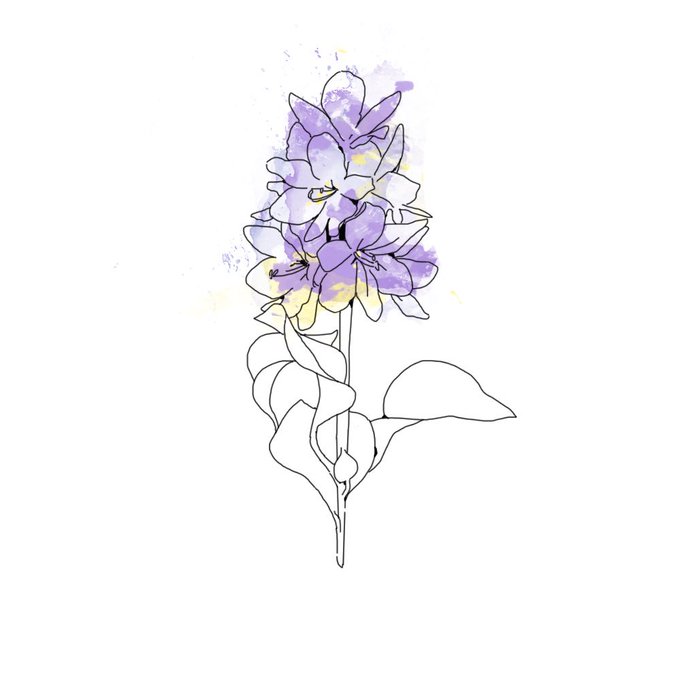 ホテイアオイのtwitterイラスト検索結果 古い順 ホテイアオイのtwitterイラスト検索結果 古い順