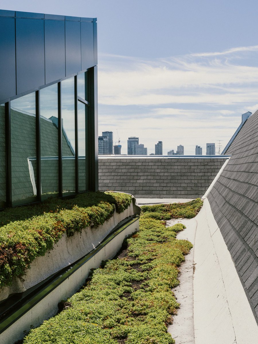 UofTDaniels's tweet photo. Via @uoftmagazine --> #UofTDaniels #GRITLab is investigating the effect of using surface water runoff, which contains urban pollutants, to irrigate green roofs. One of many projects that is helping #UofT meet its #sustainability goals: https://t.co/jFWIeAReoZ https://t.co/SrfsVvIsEB