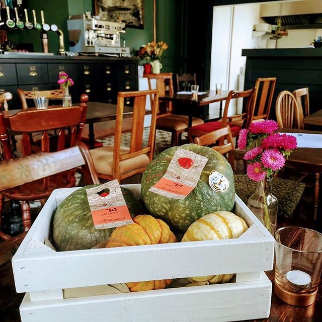 michaels_den's tweet photo. Our pop-restaurant Jo and the Pear Tree are busy preparing tonight's pumpkin and spinach gnocchi with the Zerbinati family's Delica pumpkins. Beautiful when roasted. Thanks to @Natoora for these little gems!
Pop by and give it a try! https://t.co/tc2GLWaGQ8 https://t.co/T7M80NH7sU