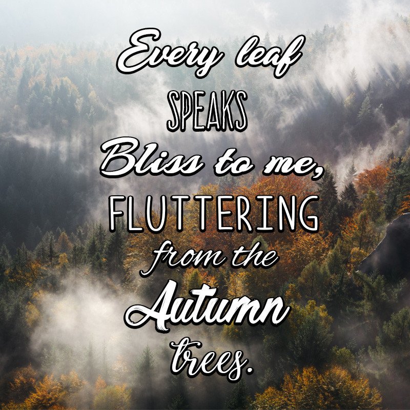 Composure Wellness (@composure_well) on Twitter photo 