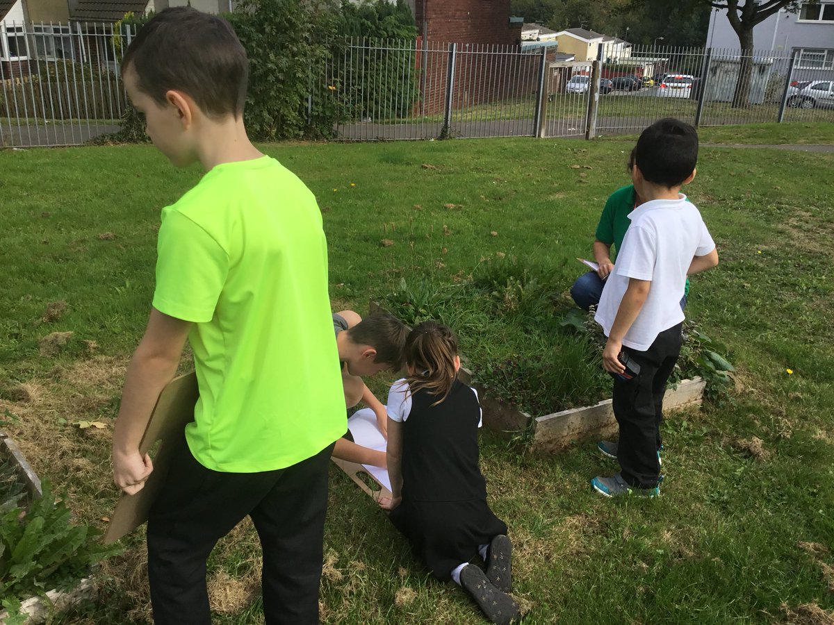 Springwood_Prm's tweet photo. Eco committee have kick started their inspire to grow project today with a little help. They will be working on a new sensory garden every Friday afternoon and parents are more then welcome to come and help. #springeco #inspiretogrow #springfamily https://t.co/9DMIril9wo