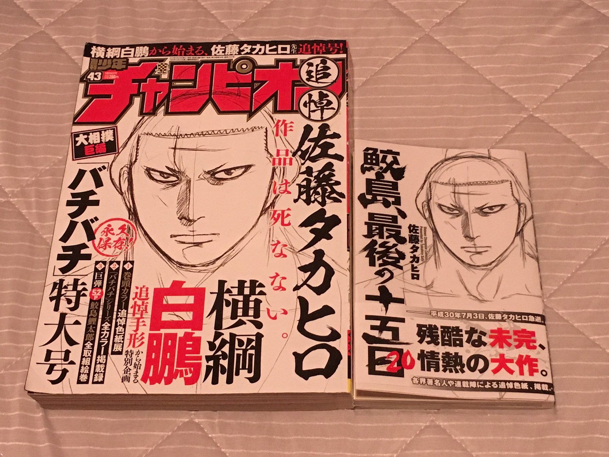 バチバチ バチバチBURST 鮫島、最後の15日 佐藤タカヒロ 相撲 相撲漫画