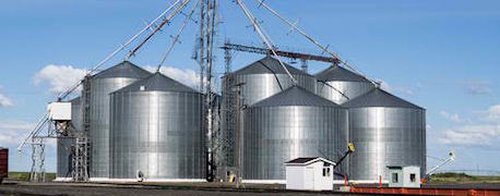 Looking for MN farmer cooperators for a grain storage study. Bins, bags, bunkers, new, or old - we take all kinds.  Direct message or email < naeve002@umn.edu >