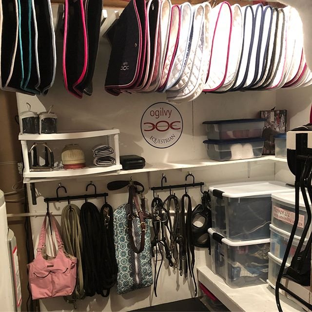 And the customer with the most Ogilvy product award goes to.....
CHRISTY LOSHAW 🙌🏼😍🎉🏆🐴

"Basement tack room got a facelift!"  #ogilvyequestrian #organizationfreak #ihaveisses #addict #equestrianlife #📷 @christy_loshaw