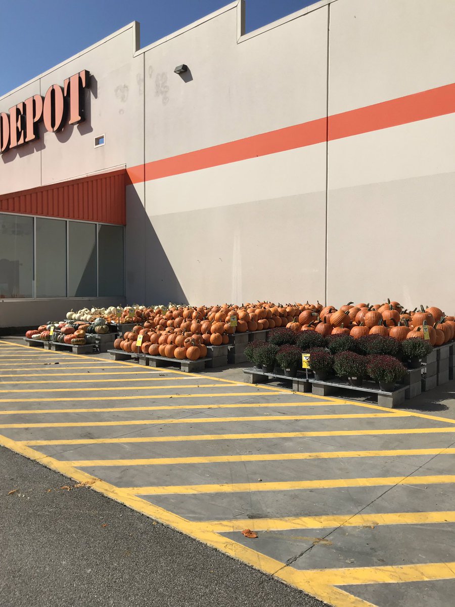 HD in 1771 Blue Ridge is fall and pumpkin ready!  Many sizes and varieties to choose from.  <a href="/ChrisBergHD/">@ChrisBergHD</a> <a href="/freddyplants/">Fplants</a> <a href="/JohnTuten2/">John Tuten</a> <a href="/hollytate122/">Hyperliquid</a>