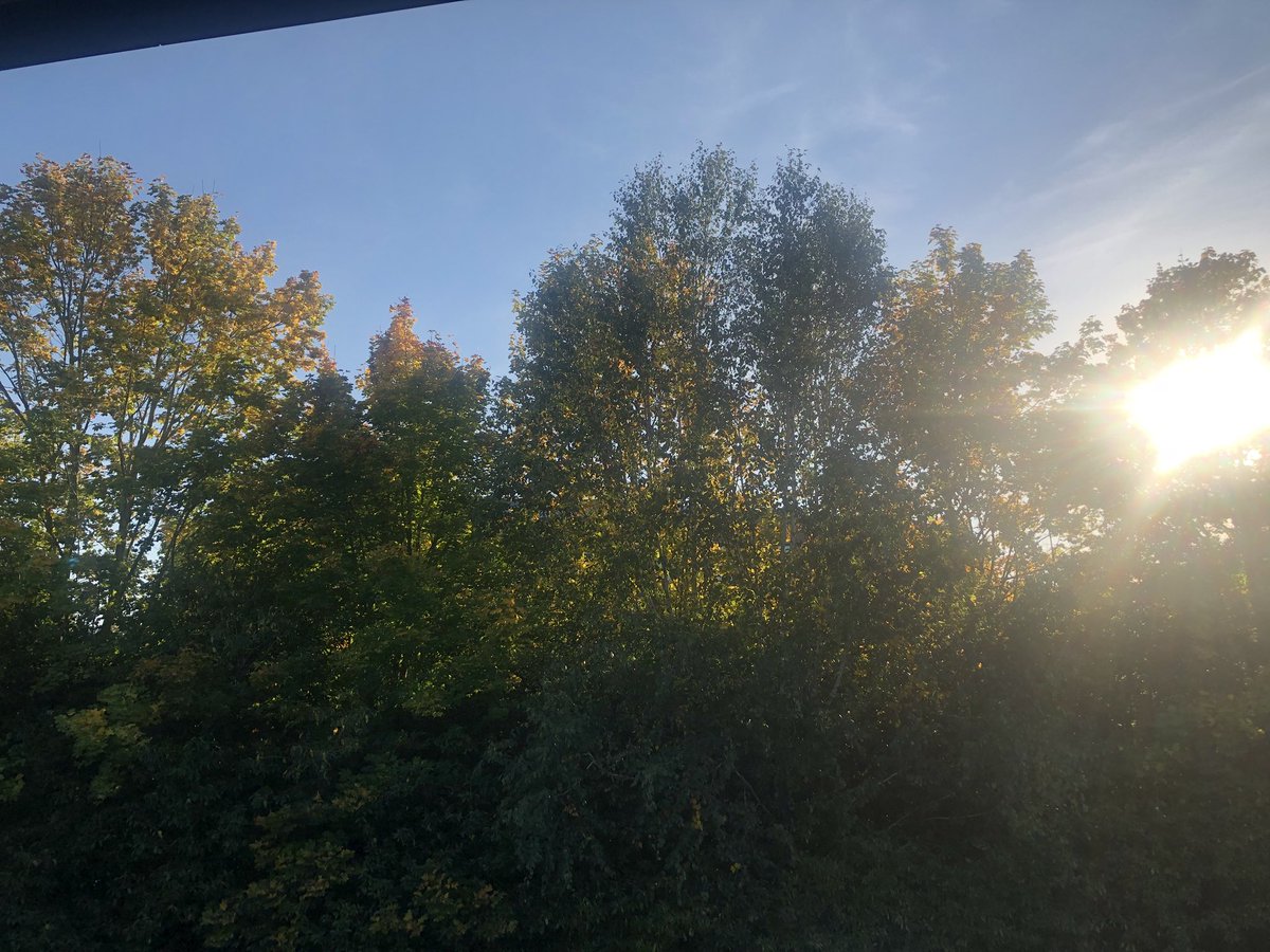 HRDevelopment5's tweet photo. #EndOfABeautifulWeek #Friday https://t.co/uZlSZ0V1VC