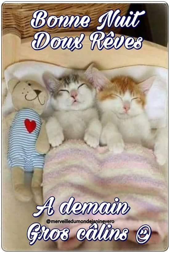 yousfi.hami tweet media