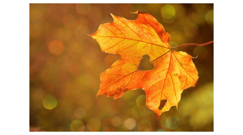 lovewinscec.org/1012-2/