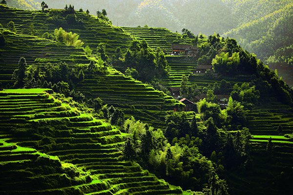 Ziquejie Rice Terraces are located in Xinhua County, Hunan. They sit 285 kilometers west of the provincial capital, Changsha. It is one of the earliest cultivated terraces to be dug out by the Miaoyao people during the Qin Dynasty (BC 221-207).