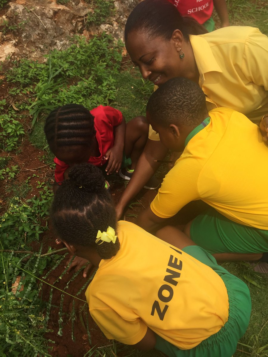 l_coomb's tweet photo. Golden Grove Basic participating in the National Tree Planting Day activity #keepkidskool ⁦@ECCJA⁩ ⁦@karlenedesland1⁩⁦@Merlianna1⁩ https://t.co/tQAJVq9KsX