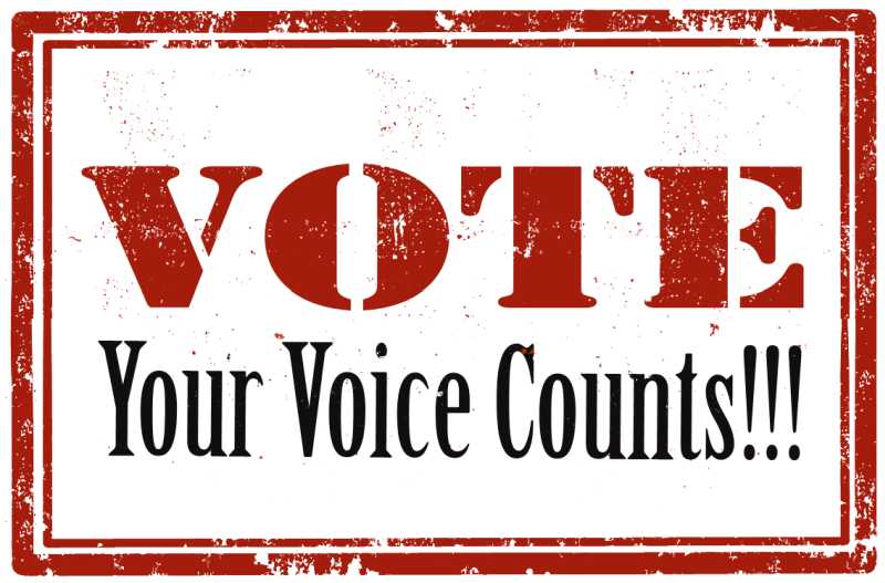 VoteDelta's tweet photo. Saturday, October 6 is the first of three Advance Voting Days in Delta's municipal election and your voice counts!
Locations include: Delta City Hall, South Delta Rec Centre, North Delta Rec Centre and Pinewood Elementary. Voting hours are 8:00 a.m. and 8:00 p.m.
#YourVoiceCounts https://t.co/cXqAdXUkac