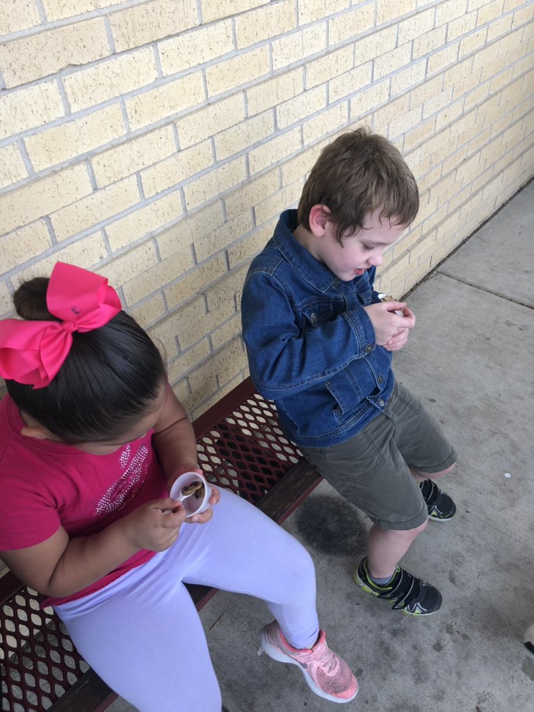 ComalFIT's tweet photo. It’s October which means it’s time for #FarmFreshFridays in Comal ISD! @MES_Lions exploring the @safoodbank #MobileMercado and taste testing farm fresh mushrooms! @ComalISDCN #ChefMario #HealthiestSchools #wholechild @cisdnews https://t.co/bKRwSa9kqS