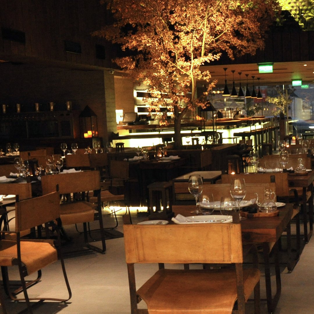 Rubaiyat Chile tweet media