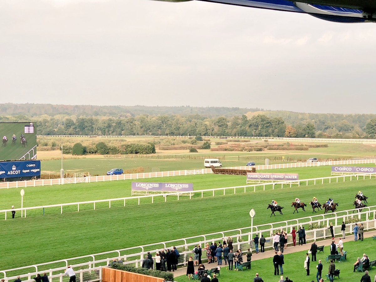amajox's tweet photo. Congrats @amajox @aferguson96 wins AJA Gents @ascot @osbornejamie #CliffsOfCapri #7ran #topride #topjock๐๐๐๐ฅ๐พ https://t.co/CSlLmO6FzR