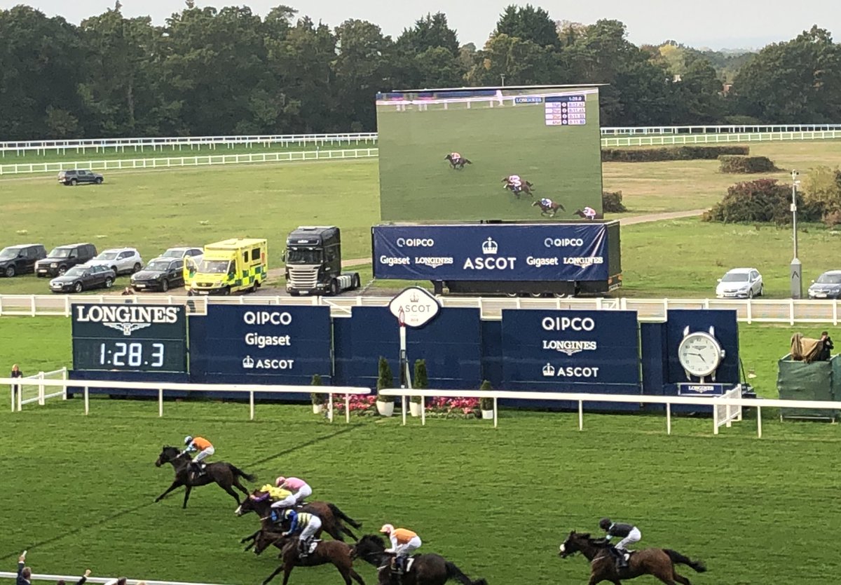amajox's tweet photo. Congrats @amajox @aferguson96 wins AJA Gents @ascot @osbornejamie #CliffsOfCapri #7ran #topride #topjock๐๐๐๐ฅ๐พ https://t.co/CSlLmO6FzR