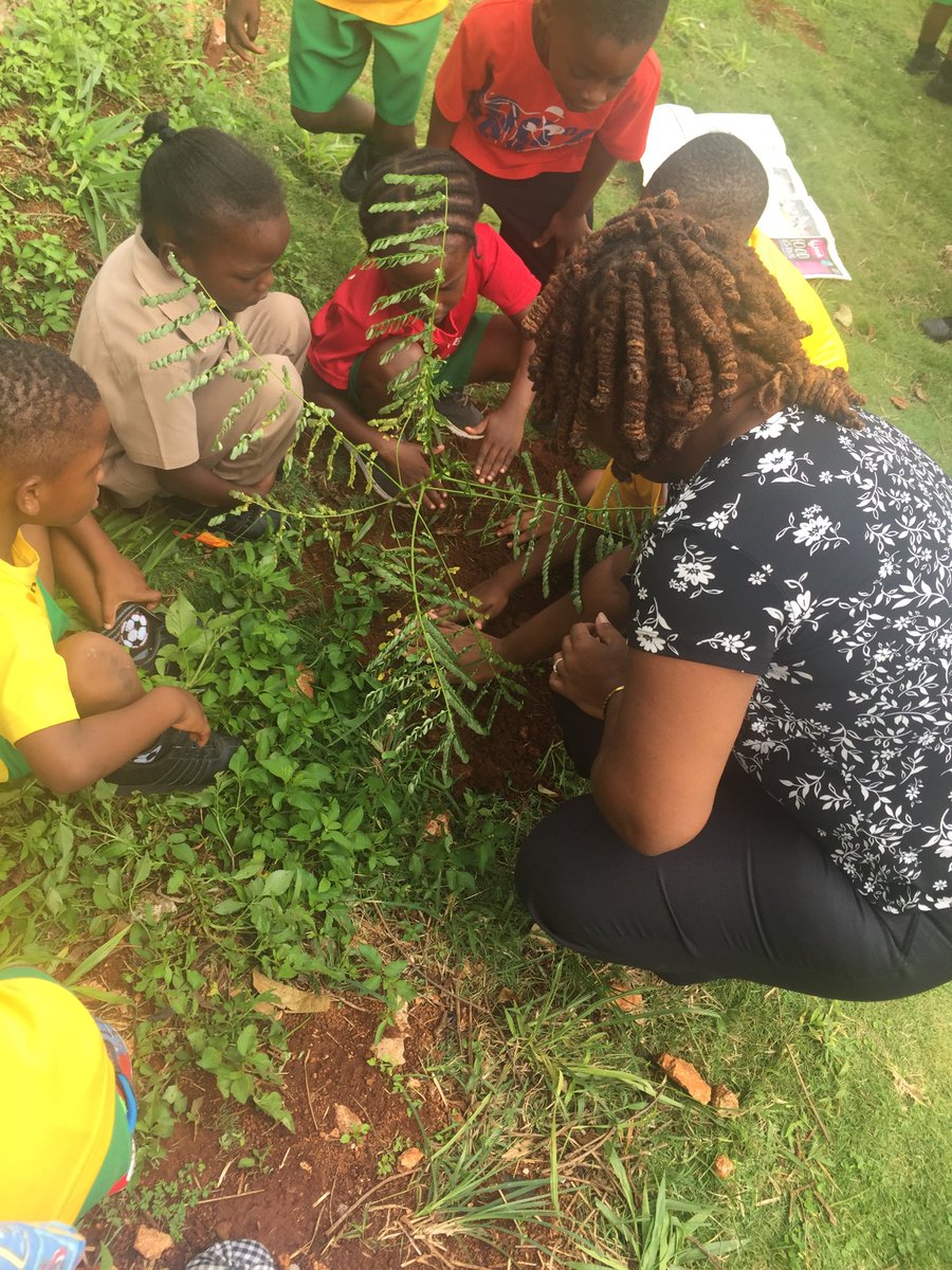 l_coomb's tweet photo. Golden Grove Basic National Tree Planting Day #keepkidscool ⁦@ECCJA⁩ https://t.co/m4WMjKrD3t