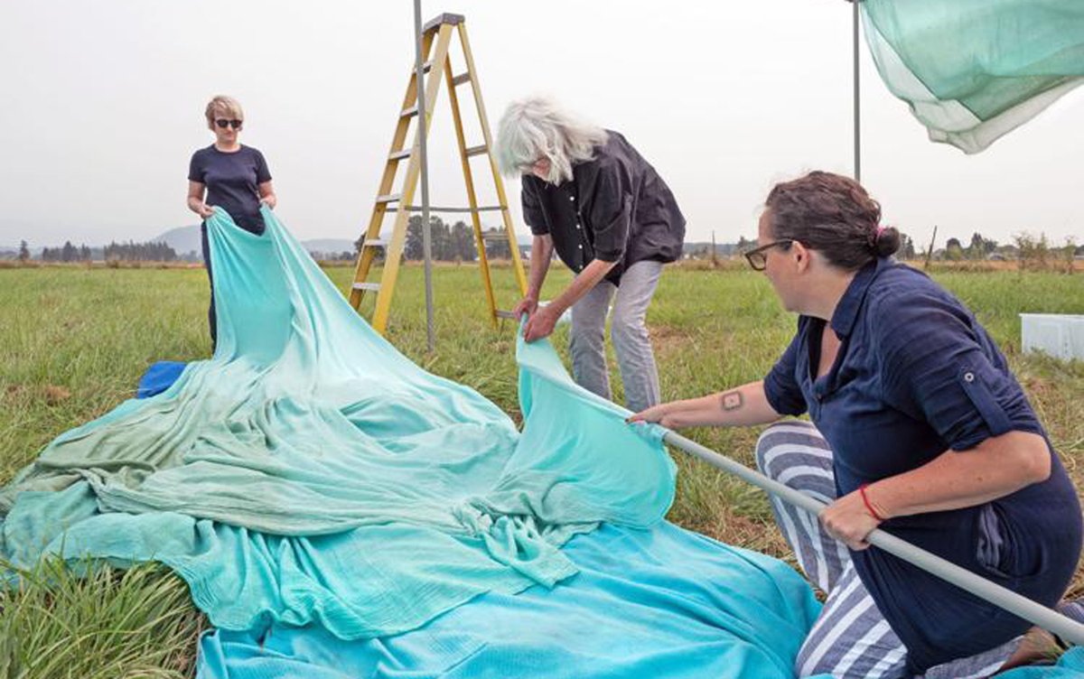 goskagit's tweet image. Art exhibit with focus on climate change opens at MoNA on Saturday skagit.ws/2Nqqesi #Skagit