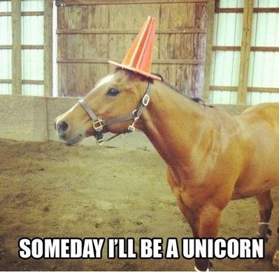 MayInspire's tweet photo. @TheUnicornGirI @CraftBlogClub @AdventureWildCr @bohome3 @BlueUCraft @CraftyismBlog @CottageNotebook @craftycrusader @Kay_O @letfireinspire @PFO_Daisies This is me trying to live life like a unicorn 😂 #unicornfail https://t.co/bd2CuBAWkw
